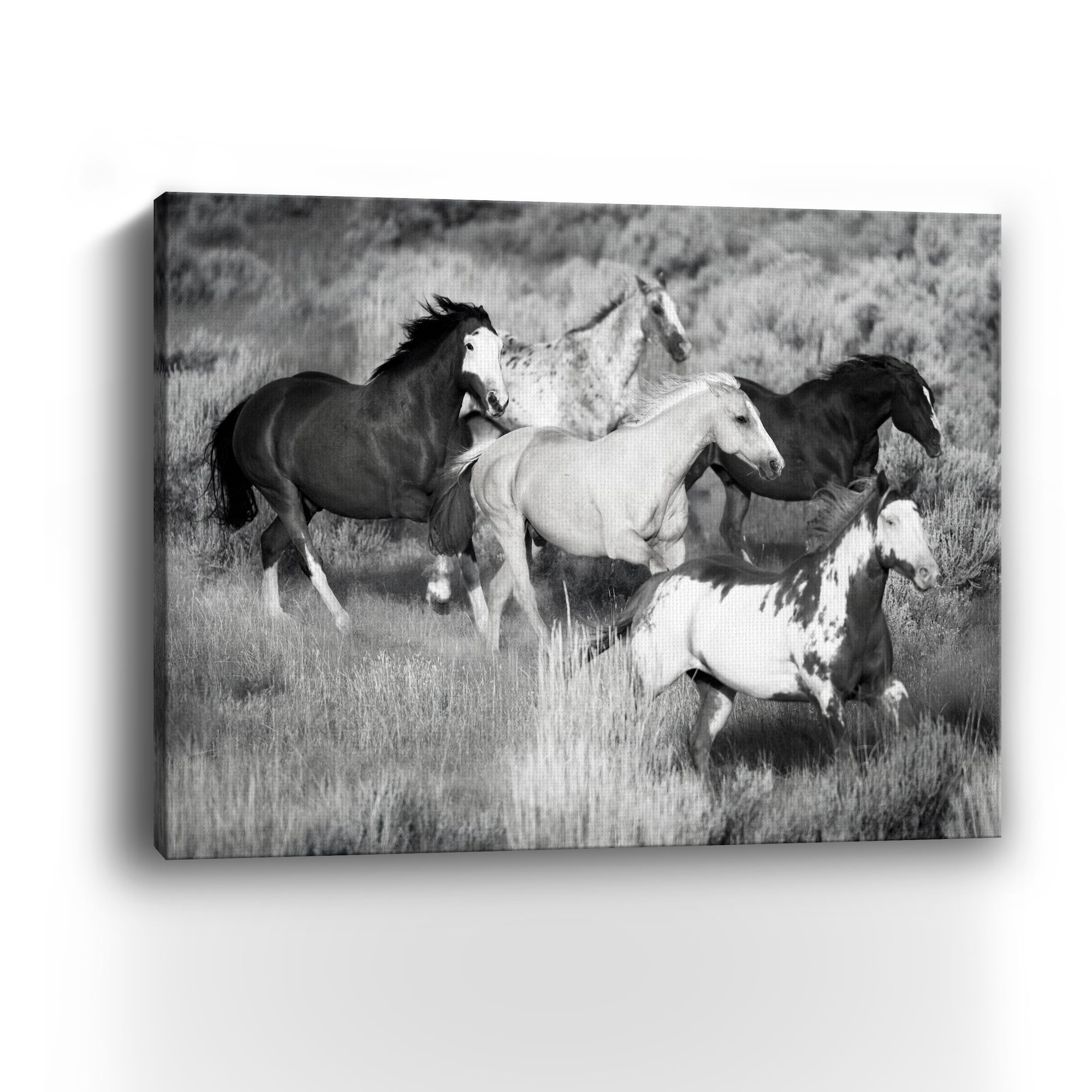 Prairie Run Canvas Giclee